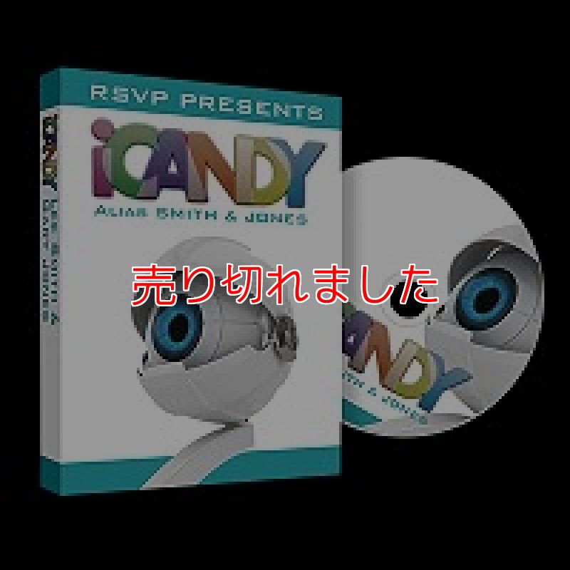 画像1: ＜ほぼ新品＞仕事向けな無駄のないネタ多数「icandy」 (1)