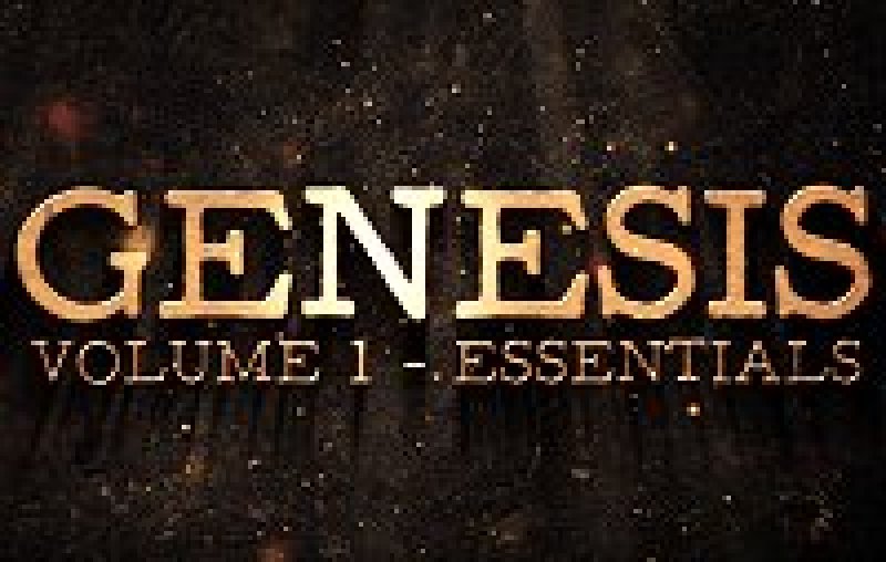 画像1: ＜ほぼ新品＞theory11の素敵フラリッシュ「GENESISGENESIS 1」 (1)