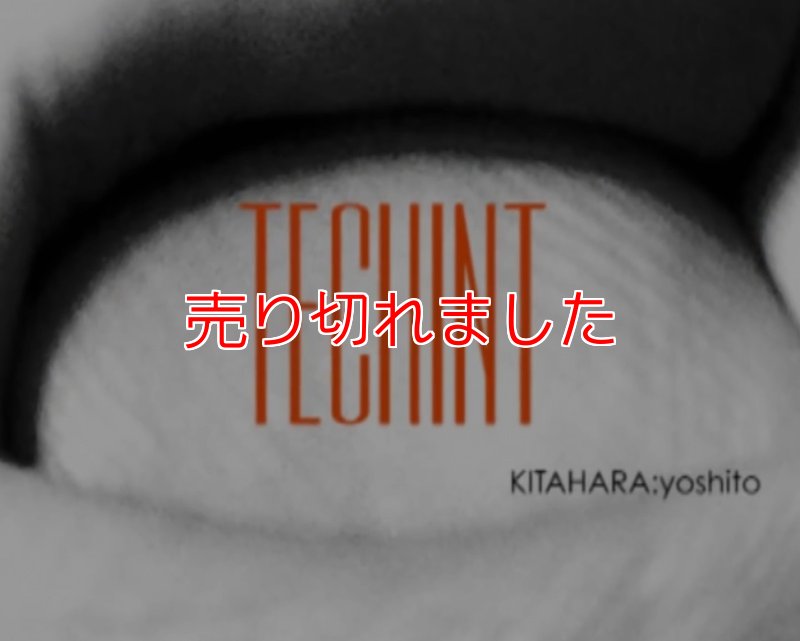 画像1: ＜ほぼ新品＞北原禎人氏の独特な技法集「TECHINT」 (1)