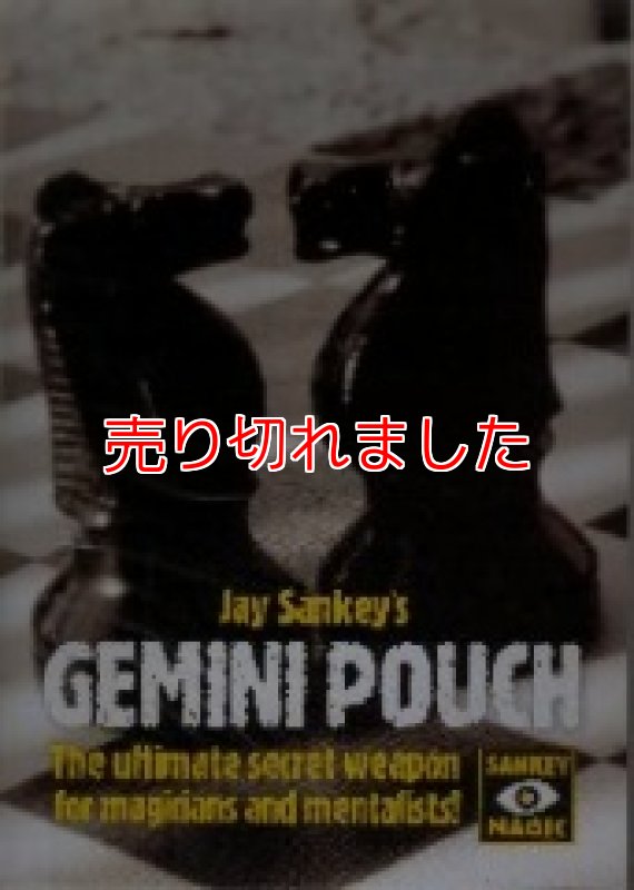 画像1: <ほぼ新品>スイッチ系「GEMINI POUCH」 (1)