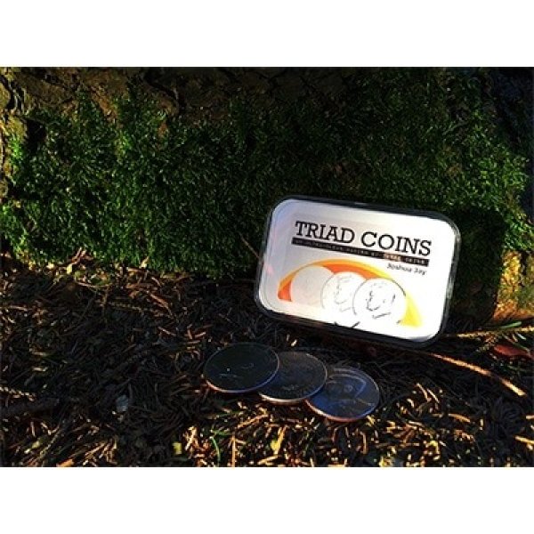 画像1: ㌽+＜ほぼ新品＞字幕付き 特別で特殊な コイン「TRIAD COINS」 (1)