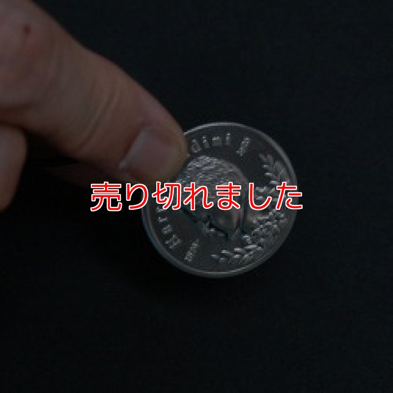 画像1: ㌽+＜ほぼ新品＞アレを練習するだけ超簡単「パーフェクトバニッシュ」 (1)