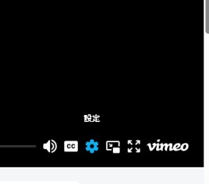 画像3: ＜ほぼ新品＞独特な3枚トランプ当て「HOLDING PATTERN」 (3)