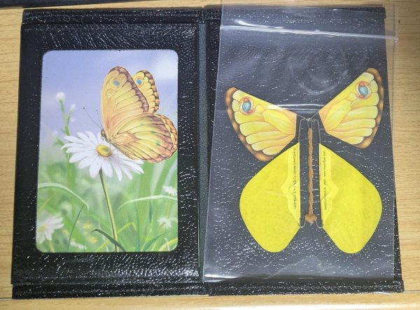 画像1: ＜訳アリ中古＞勿体ない商品「バタフラフェクト」 (1)