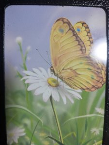 画像3: ＜訳アリ中古＞勿体ない商品「バタフラフェクト」 (3)