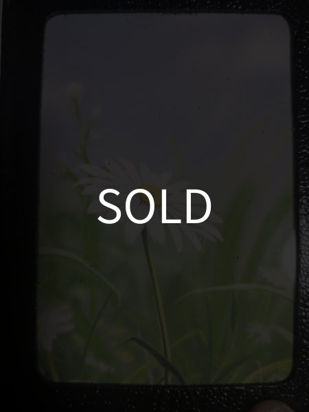 画像4: ＜訳アリ中古＞勿体ない商品「バタフラフェクト」 (4)