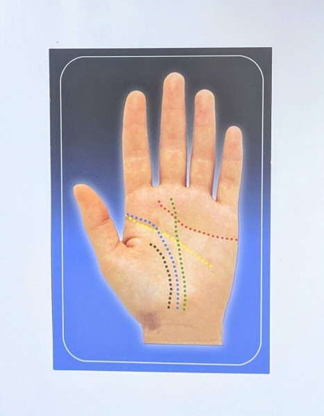 画像4: ＜ほぼ新品＞字幕・ 手相 とマインドリーディング「PALM MYSTERY」 (4)