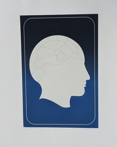 画像3: ＜ほぼ新品＞字幕・ 手相 とマインドリーディング「PALM MYSTERY」 (3)