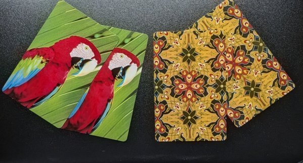 画像4: ＜ほぼ新品＞ 謎のトランプ 「DONNNA USA GOLD PLAYNG CARDS」 (4)