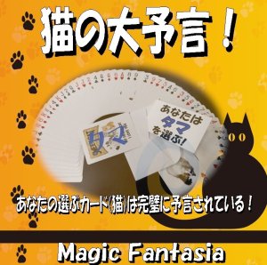 画像1: ＜わけあり＞ 猫を予言 「猫の大予言」 (1)