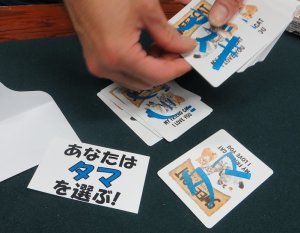 画像3: ＜わけあり＞ 猫を予言 「猫の大予言」 (3)