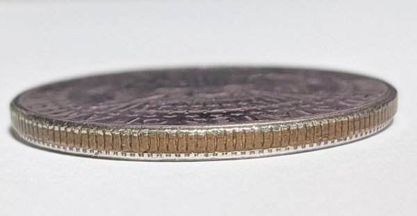 画像4: ＜ほぼ新品＞使い道色々「エキスパンデッドシェルハーフダラー」 (4)