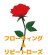 画像4: ＜ほぼ新品＞ 浮く。シルクが出る。分裂。 「フローティング＆リピートローズ」 (4)