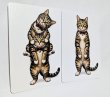 画像2: 大人気掴みネタ！「伸びる猫」  (2)