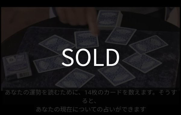 画像5: 神＜ほぼ新品＞皆が知るセルフワーキングじゃない！！トランプ「ANY SHUFFLED DECK」 (5)